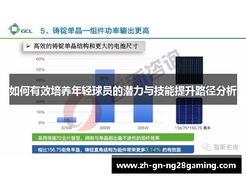 如何有效培养年轻球员的潜力与技能提升路径分析 如何有效培养年轻球员的潜力与技能提升路径分析