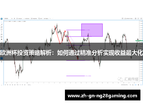欧洲杯投资策略解析：如何通过精准分析实现收益最大化