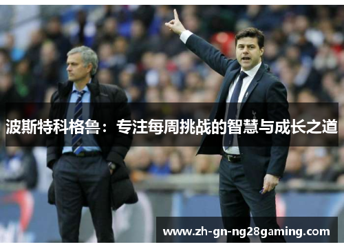 波斯特科格鲁:专注每周挑战的智慧与成长之道 波斯特科格鲁:专注每周挑战的智慧与成长之道