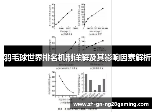 羽毛球世界排名机制详解及其影响因素解析 羽毛球世界排名机制详解及其影响因素解析