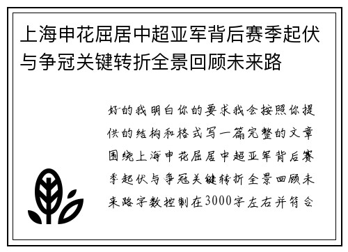 上海申花屈居中超亚军背后赛季起伏与争冠关键转折全景回顾未来路 上海申花屈居中超亚军背后赛季起伏与争冠关键转折全景回顾未来路